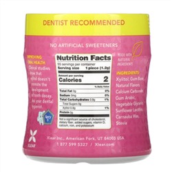Xlear, Spry, Stronger Longer Dental Defense Gum, Natural Bubblegum, Sugar Free , 55 Count