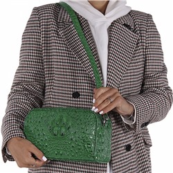 Сумка 29018-11 green Velina Fabbiana-Safenta