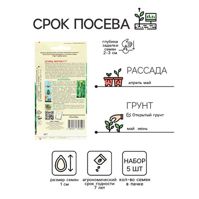 Семена Огурец «Внучок», F1, набор 5 шт.