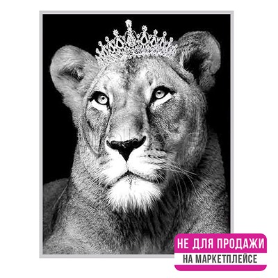 Картина по номерам 40х50 "Королева-львица" Чёрный холст, с кристаллами из хрусталя ( 8цветов) НЕ ДЛЯ ПРОДАЖИ НА МАРКЕТПЛЕЙСАХ