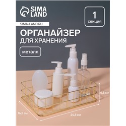 Органайзер для хранения косметических принадлежностей «РАФАЭЛЬ», 24.5×16.5×6.5 см, цвет золотистый