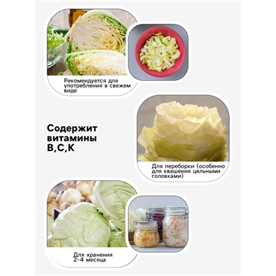 Семена Капуста белокочанная «Мегатон», F1, 10-12 шт., «Уральский дачник»