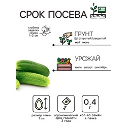 Семена Огурец "Коротышка", 0,4 г