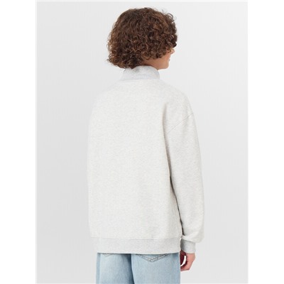 ТОЛСТОВКА ДЛЯ МАЛЬЧИКОВ 123448