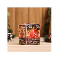 Новогодний набор эфирных масел «С Новым Годом!», в подарочной коробке, пихта, эвкалипт, кедр, сосна, 4 шт. по 10 мл