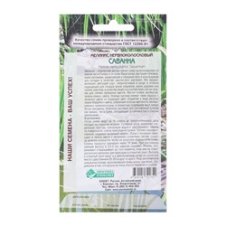 Семена Мелинис нервноколосковый «Саванна», 5 шт., «Евросемена»