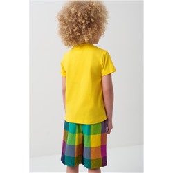 Шорты текстильные для мальчиков PLAYTODAY, 1239610