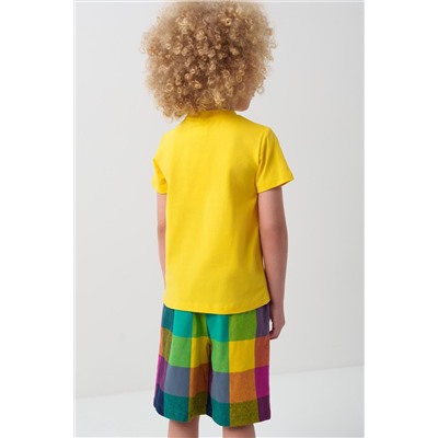 Шорты текстильные для мальчиков PLAYTODAY, 1239610