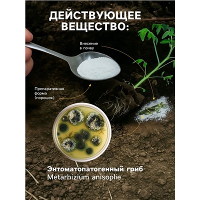 Средство от насекомых и вредителей «Метаризин», 250 г