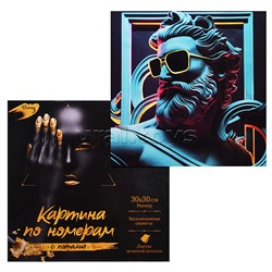 Картина по номерам 30х30 "Объективный взгляд" с поталью (21 цвет)