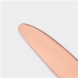 Набор столовых приборов Magistro «Оску стандарт», 4 предмета, нержавеющая сталь, цвет бронзовый