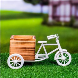 Фигурное кашпо для цветов «Велосипед Home & Garden», 20.5×12×10.5 см, дерево, пластик, белое