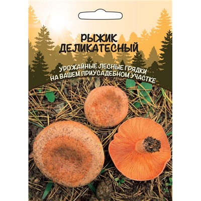 Гриб Рыжик Деликатесный Ур.Дачник