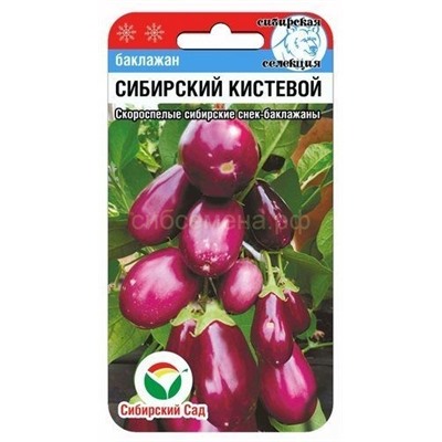 Баклажан Сибирский кистевой (Сиб сад)