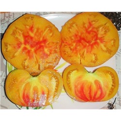 Томат Гигант Иерусалима (Агрони) Скидка! Срок годн 12.2025