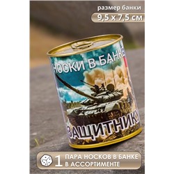 Носки стандарт GL1719 Сухопутные войска НАТАЛИ, 1089234