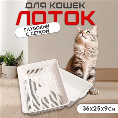 Туалет глубокий с сеткой 36×25×9 см, белый