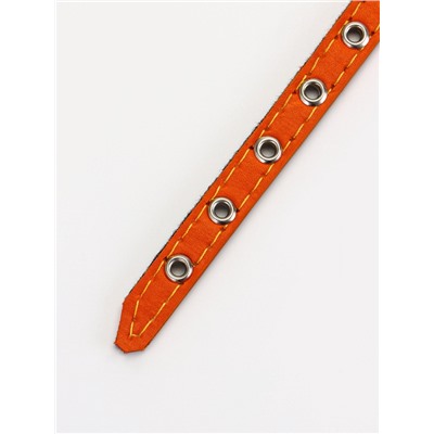 Ошейник, 30.5×1.2 см, ОШ 20-27 см, однослойный, неукрашенный, на фетре, кожа, оранжевый