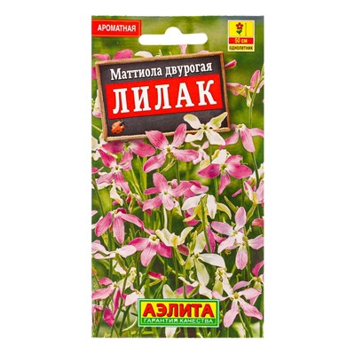 Семена цветов Маттиола двурогая Лилак , Ц/П,0,5 г