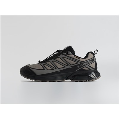 Кроссовки Salomon XT-Pathway 2