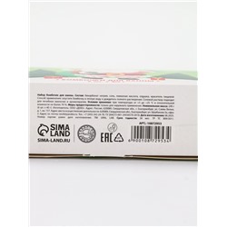 Бомбочки для ванны в домике «Дед Мороз», набор 6 шт. × 40 г, URAL LAB