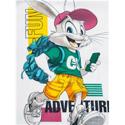 Фуфайка трикотажная для мальчиков (футболка)