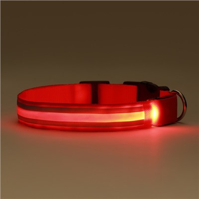 Ошейник с подсветкой Двойная полоса размер XL, ОШ 52-60×2.5 см, 3 режима свечения красный