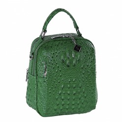 Рюкзак 69123-1 green Velina Fabbiano-Safenta