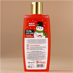 Гель для душа, 250 мл, аромат пряного глинтвейна, URAL LAB