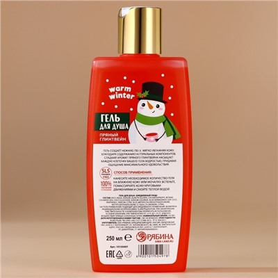 Гель для душа, 250 мл, аромат пряного глинтвейна, URAL LAB