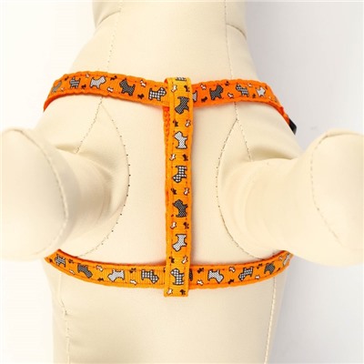 Комплект «Собачки», ширина 1 см, поводок 1.2 м, шлейка 23-35 см, оранжевый