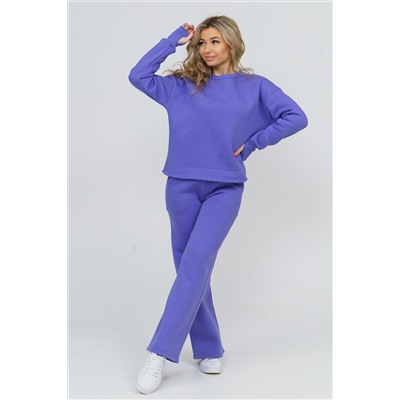 Костюм 36592 (свитшот + брюки) НАТАЛИ, 811319