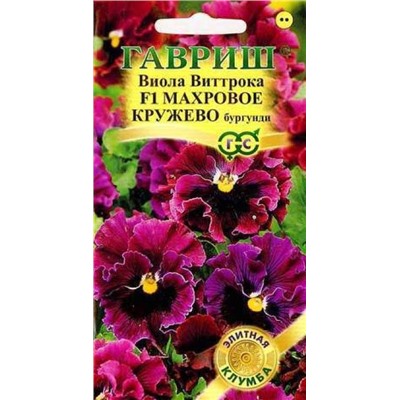 Виола Махровое кружево Бургунди (Код: 2648)