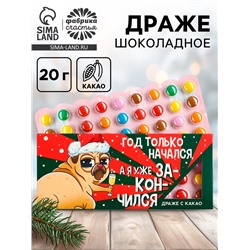 Конфеты драже новогодние «Я уже закончился», 20 г