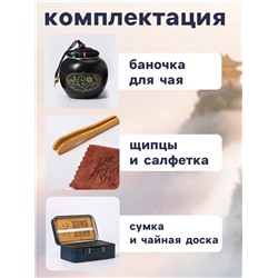 Набор для чайной церемонии ДЖЕКИЧАЙ «Кадзуно», 11 предметов, на 6 персон, чашка 50 мл, чайник 285 мл, керамика, чёрный