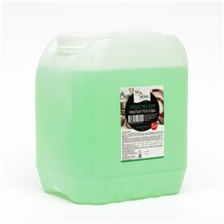 Средство для мытья посуды Mr.White, гель-концентрат, зеленое яблоко, 5 л