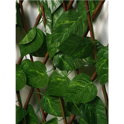 Ограждение декоративное «Лист берёзы», 120×70 см, Greengo