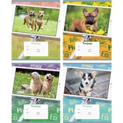Тетрадь  18л линия "DogSelfie" 5234 BG {Россия}