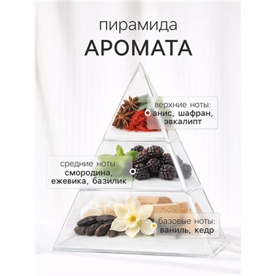 Диффузор ароматический с палочками Hygge Home Ежевика, Смородина, Базилик, 50 мл