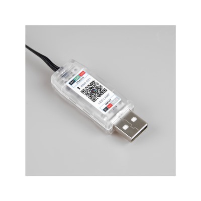 Умная гирлянда «Нить» 5 м роса с насадками «Шарики», IP20, черный провод, 100 LED, пульт ДУ, приложение, свечение RGB, USB