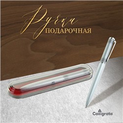 Ручка подарочная, шариковая «Бизнес» в пластиковом футляре, поворотная, чёрная с серебристыми вставками