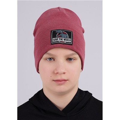 CLEVER Шапка
