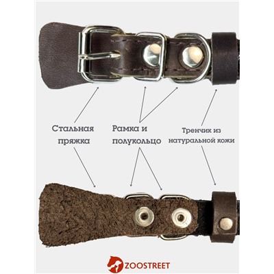 Ошейник, 35×1.5 см, с подкладом и светоотражающей лентой, кожа, коричневый