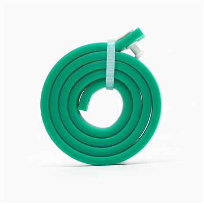 Биоошейник от паразитов для кошек и собак «Пижон Premium», 35 см, зелёный