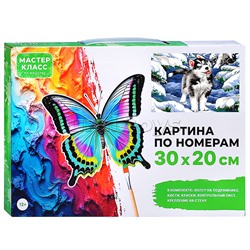 Набор для рисования "Картина по номерам 30х20 см. Хаски на прогулке"
