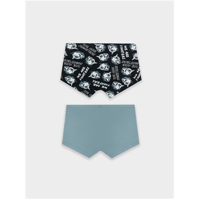 ТРУСЫ МУЖСКИЕ (2ШТ) 411216-2