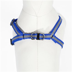 Комплект со светоотражающей лентой, ширина 1 см, поводок 120 см, шлейка 26-40 см, синий