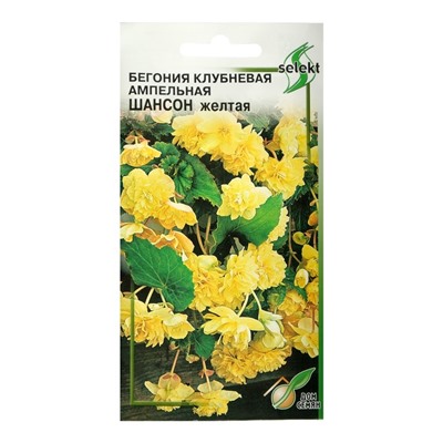 Семена цветов Бегония ампельная "Шансон" клубневая, желтая, 10 шт