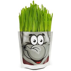 Набор для выращивания Happy Plant «Слон»