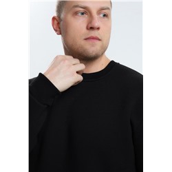 Кофта мужская 22301 (Черный)